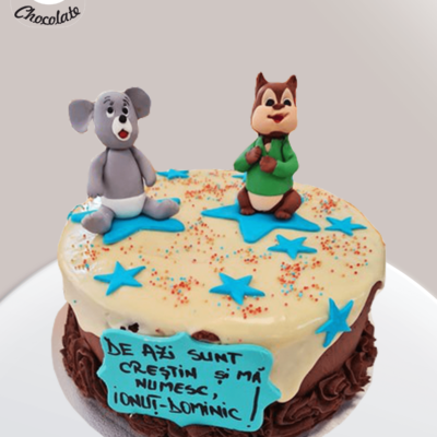 Tort Baietei Botez Animalute