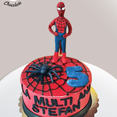 Tort Baietei SpiderMan