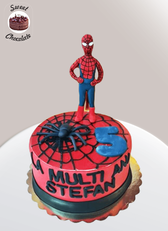 Tort Baietei SpiderMan