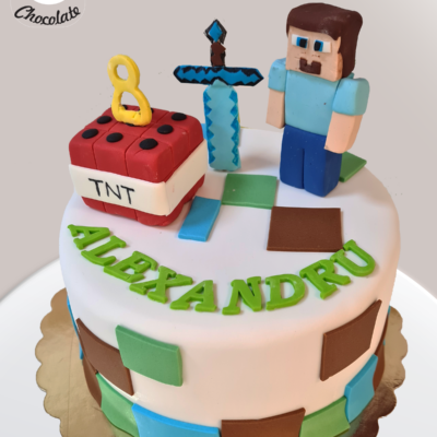 Tort Baietei Minecraft