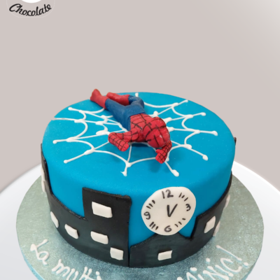 Tort Baietei SpiderMan