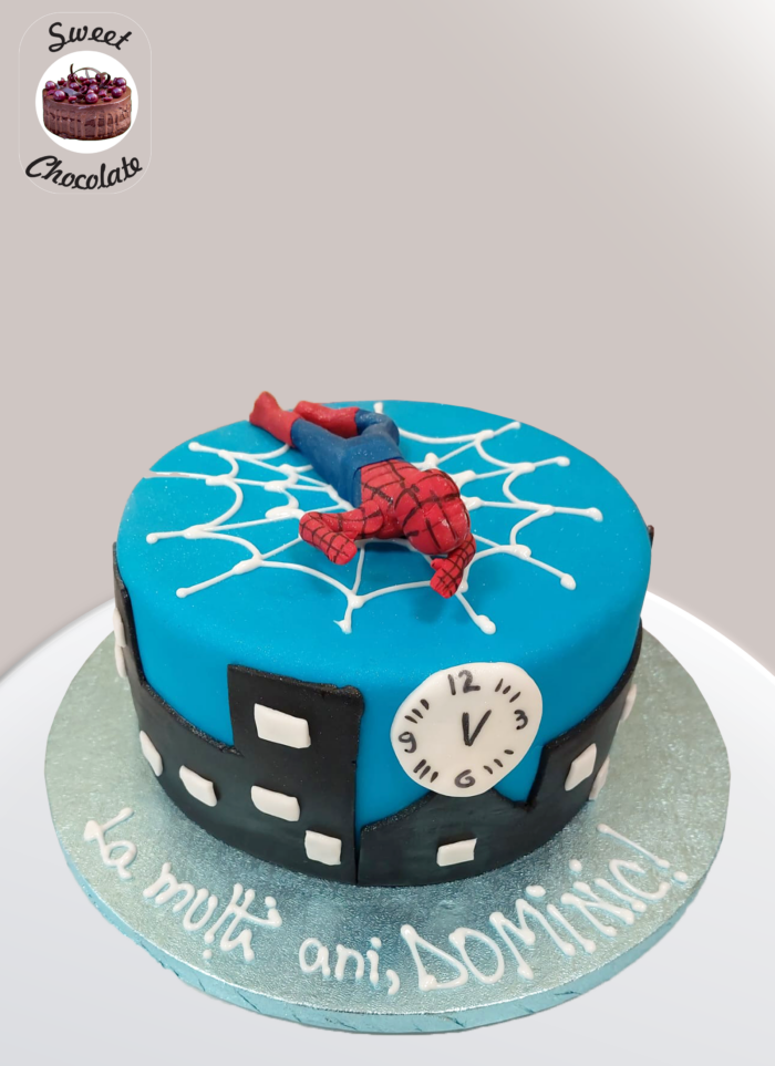 Tort Baietei SpiderMan