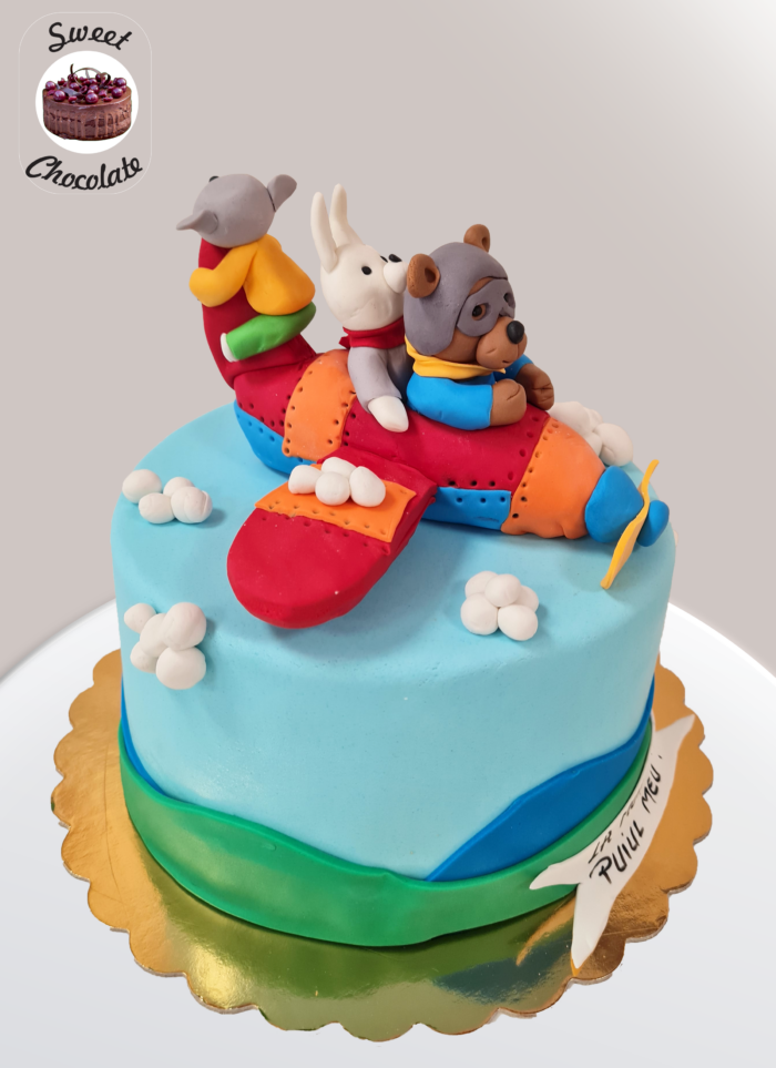 Tort Fetite Avion Animalute