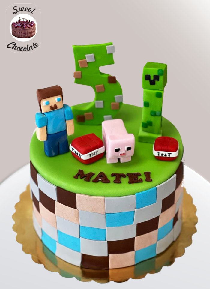 Tort Baietei Minecraft