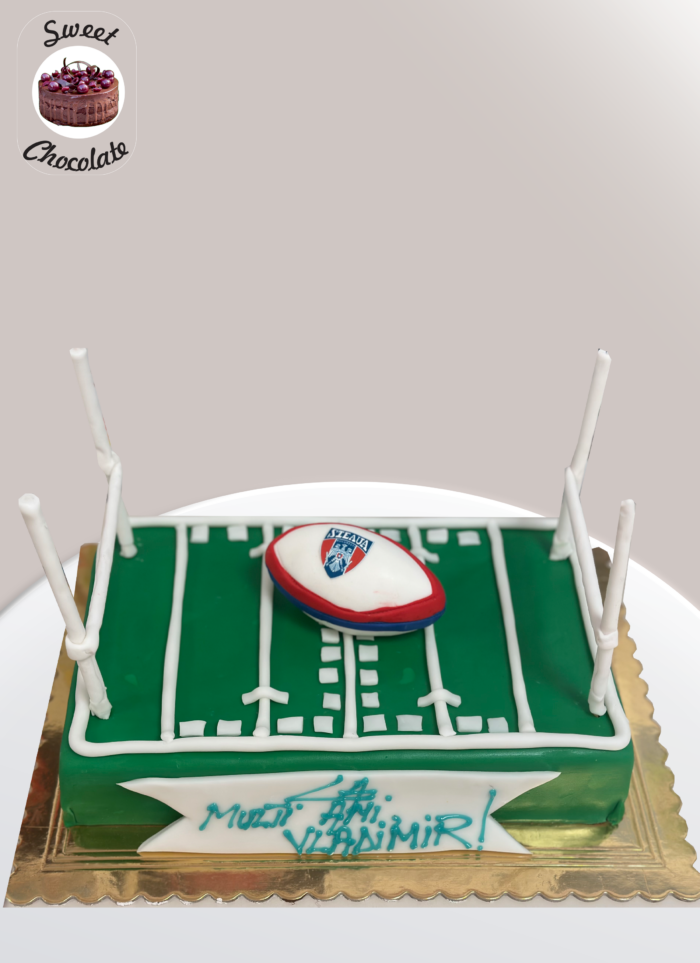 Tort Rugby Steaua