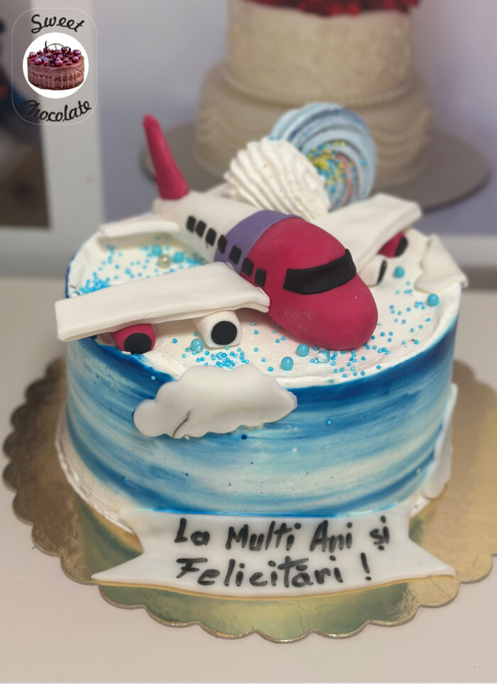 Tort Baietei Avion